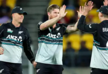 NZ vs PAK 5th T20I Highlights