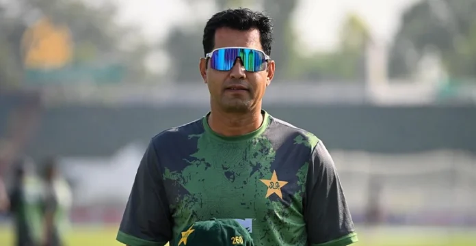 Masood and Shafique partnership vs South Africa Test 2025