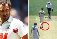 Mitchell Starc Ashes Test Bowling Ban: What Rule Did the Pacer Breach? Mitchell Starc Ashes Test Bowling Ban