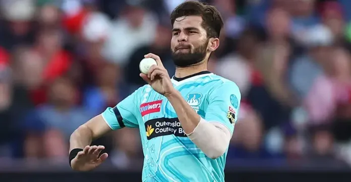 Shaheen Shah Afridi dangerous bowling BBL debut